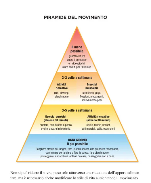 piramide del movimento